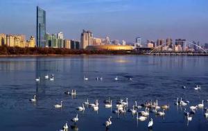 三門峽又一網(wǎng)紅景點(diǎn)，確定不來(lái)pick一下？