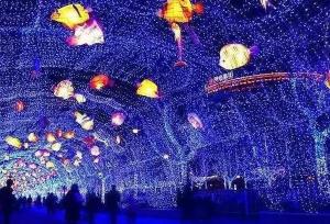 【三門峽國際光影藝術節(jié)】家門口的雜技表演和燈光秀，精彩不容錯過！